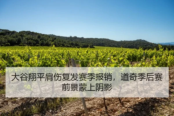 大谷翔平肩伤复发赛季报销，道奇季后赛前景蒙上阴影