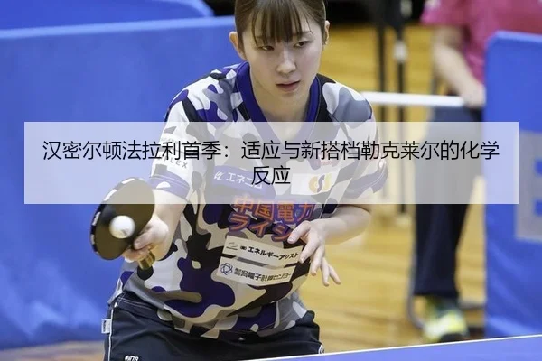 han-mi-er-dun-fa-la-li-shou-ji-shi-ying-yu-xin-da-dang-lei-ke-lai-er-de-hua-xue-fan-ying-3-815.jpg